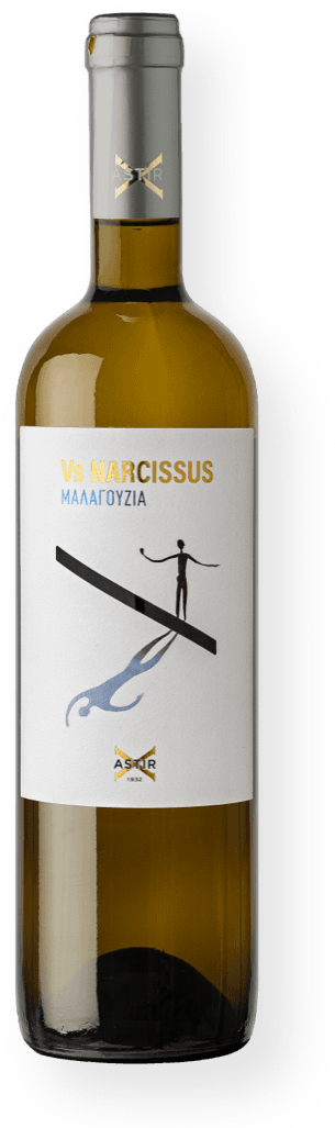 vsnarcissus_large_malagouzia