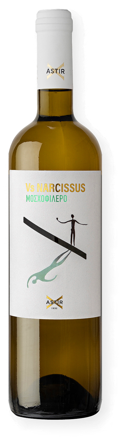 Large VsNarcissus_Moschofilero 2025